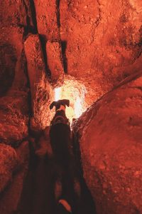 dog looking through hole of cave wall