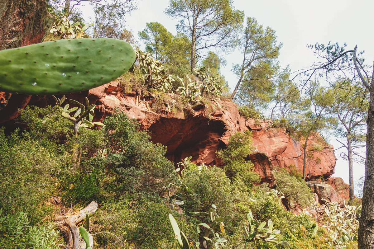 Resultado de imaxes para torrelles
